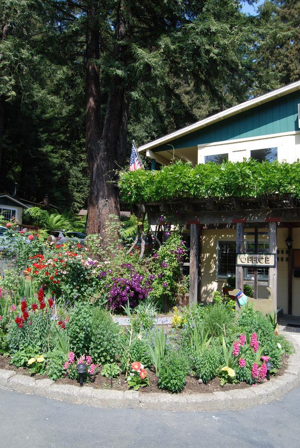 Fern Grove Cottages Guerneville Zewnętrze zdjęcie